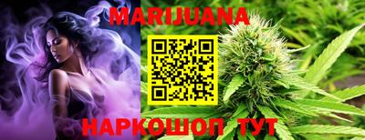 индика Тверь