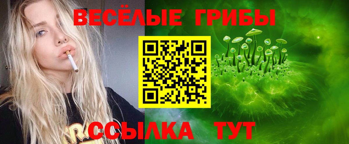 Галлюциногенные грибы мицелий  Вход с VPN  Усолье-Сибирское 